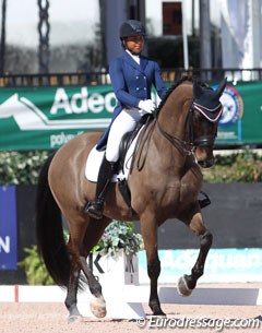 Anna Buffini and Sundayboy at the 2017 CDI Wellington in February :: Photo © Astrid Appels