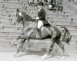 Heinrich Boldt riding Brokat in the 1950s