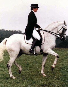 Lendon Gray on Seldom Seen, an American bred 14.2 hh Thoroughbred x Connemara cross gelding which brought dressage to everyone and showed it was for anyone
