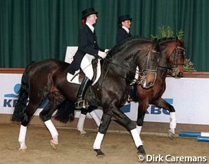 Mieke Lunskens on Abner and Vicky Smits on Illuster (licensed full brothers) at the 1999 BWP Stallion Licensing