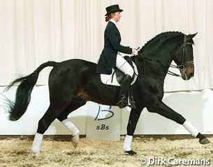 Mieke Lunskens and Abner at the 1999 SBS Stallion Licensing