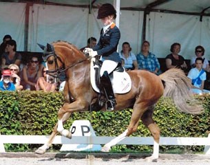 Mister Gigolo at the 2011 Dutch Pony Championships