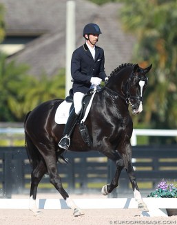 Michael Bragdell and Sternlicht at the 2016 CDN Wellington :: Photo © Astrid Appels