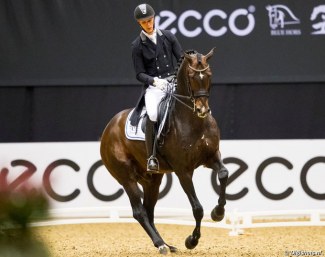 Blue Hors Zack at the 2017 CDI-W Odense :: Photo © Digishots