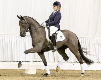 Dujardin (by Don Frederic x Escudo I) :: Photo © Tammo Ernst