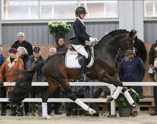 Isabel Freese and For Romance II at the 2017 HP Horses' Stallion Show :: Photo © LL-foto