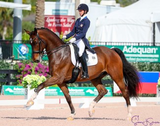 Laura Graves and Verdades at the 2018 Palm Beach Derby CDI-W :: Photo © Sue Stickle