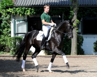 Gestut Wiesenhof's Dusterberg