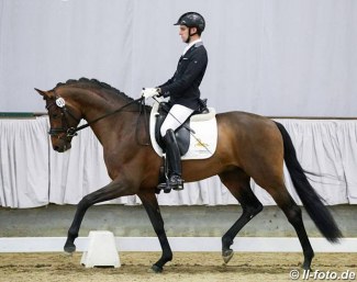 D'Alessandro (by Don Frederic x Stedinger) in the 2018 Munster Sport Test :: Photo © LL-foto