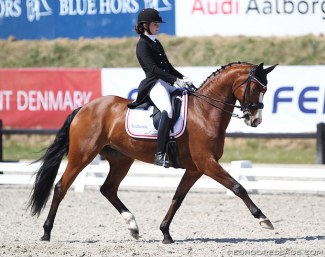 Ditte Kvistgaard on Divina at the 2018 CDIO Uggerhalne :: Photo © Astrid Appels