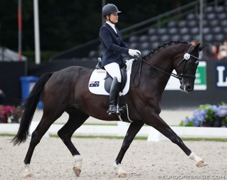 Rebecca Rooke and Muchamp Royal Black at the 2017 World Young Horse Championships :: Photo © Astrid Appels