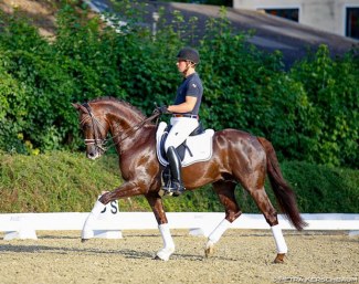 Wolfgang Himsl and Valparaiso at the 2018 Austrian WCYH Selection Trial :: Photo © Petra Kerschbaum