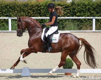 Laura Strobel and Villeneuve at the 2018 German WCYH Selection Trial in Warendorf :: Photo © LL-foto
