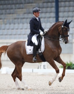 Australian Warwick McLean and Sir Heinrich M at the Australian WEG Nominated Event in Aachen in May :: Photo © Astrid Appels