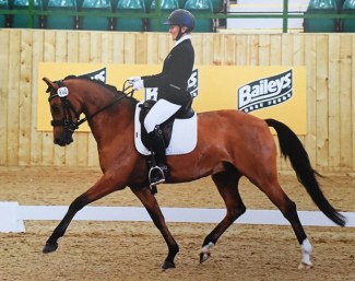 Chocolatier Deluxe WE at the 2016 British Dressage Potential International Dressage Pony Championships.