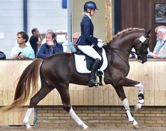 Svalegaards Design at the KWPN Saddle Presentation :: Photo © Wilma