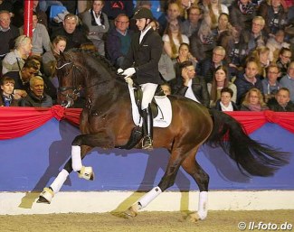 Helgstrand Dressage And Schockemohle Stallion Station To Cooperate