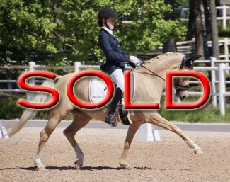 SOLD SOLD SOLD