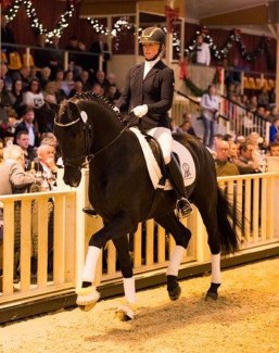 Nicole Wego on V-Plus at the 2018 PSI Auction :: Photo © Thomas Hellmann