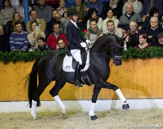 Isabel Freese on Top Gear at the Schockemohle stallion show in February 2018 :: Photo © Christina Beuke