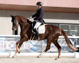 Luis Soto Sánchez and Rio Duero at the 2018 Spanish Young Horse Championships :: Photo © Lily Forado