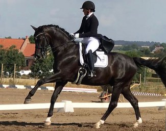 Douglas S (by Vivaldi x San Remo)