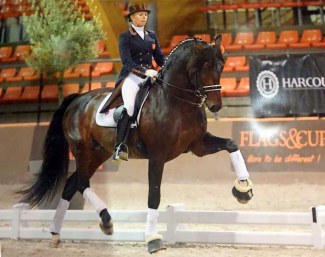 Internationally competed Grand Prix horse Mango Jacaro