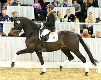 Zouzo (by Zack x Soliman de Hus) :: Photo © Tammo Ernst