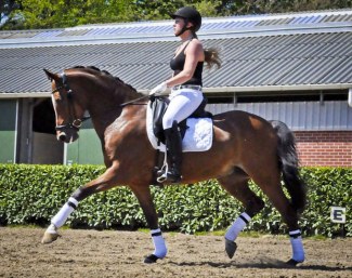 Wester Aikema’s Celeste