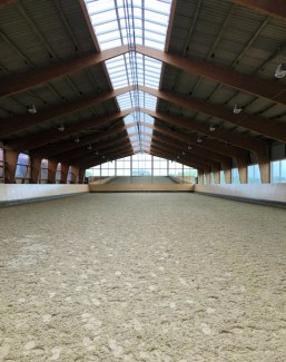 Up to 18 boxes for rent at professional yard in Moorrege, Germany