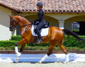 Elvis (by Ampere x OO Seven)