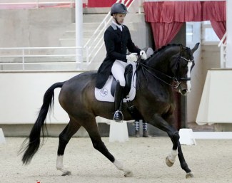 First Time d'Echallens (by Damsey x Don Schufro)