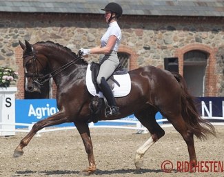 Julie Dyrgaard and her home bred Ryvangs Damon Dione (by Damon Hill x Come Back II) :: Photo © Ridehesten