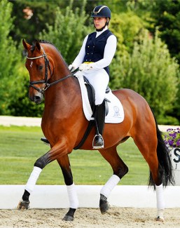 Dasador (by Danone x Lauries Crusador xx)