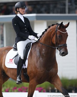 Camilla Ahlers Pedersen and CVL Horse's Soegaards Bon Royal at the 2019 World Championships for Young Dressage Horses :: Photo © Astrid Appels