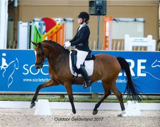 Wester Aikema's Celeste