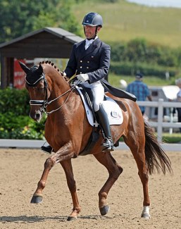 SJL Dom Perignon (by Don Primus x Raphael)
