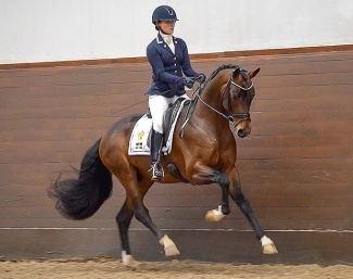 Minna Telde and Devin Franco GJ at the 2024 SWB Stallion Performance Test :: Photo © Michaela Swärd/SWB