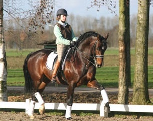 Roman Nature at Coby van Baalen's yard in Brakel