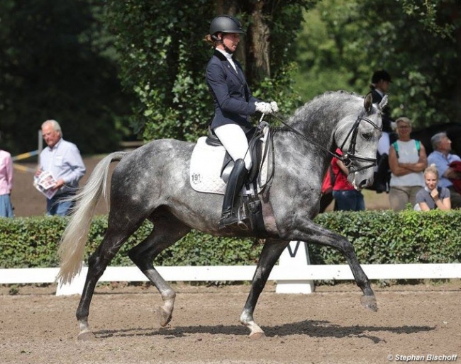 Lydia Camp and Hopkins at the 2017 Trakehner Championships :: Photo © Stephan Bischoff