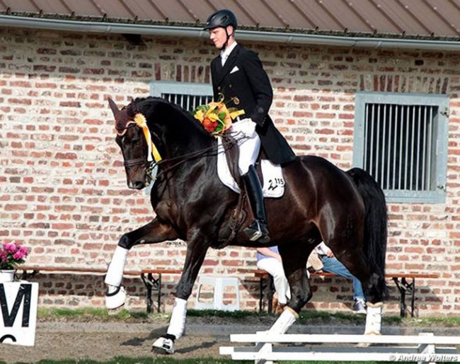 Niklaas Feilzer on Isabell Werth's Grand Prix horse Der Stern :: Photo © Andrea Wolters