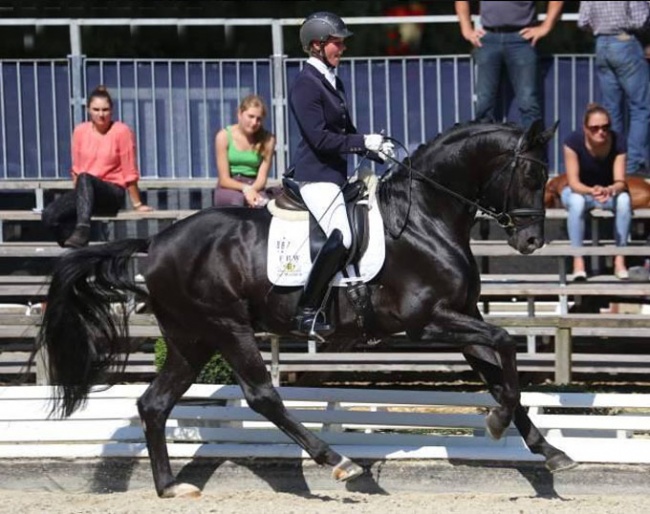 Meike Lang and Sorrento Snörri at the 2016 Bundeschampionate :: Photo © LL-foto