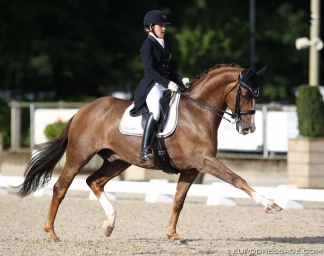 Cornelia Pettersson and Final Cut at the 2017 European Junior Riders Championships :: Photo © Astrid Appels