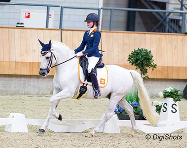 Micky Schelstraete and Elin's Noncisdador at the 2018 Dutch Indoor Championships :: Photo © Digishots