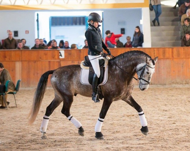 Angelique Hofman and Iberico das Lezirias at the selection trial in Golega :: Photo © Rita Fernandes - Lusitano World