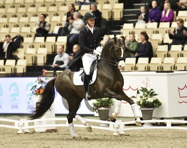 Daniel Bachmann Andersen and Blue Hors Don Olymbrio at the 2018 CDI Herning :: Photo © Ridehesten