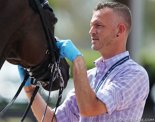 FEI Steward Walter Nef checking noseband tightness at the 2018 CDI 5* Wellington :: Photo © Astrid Appels