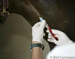 A horse getting tested for doping/medication :: Photo © Dirk Caremans