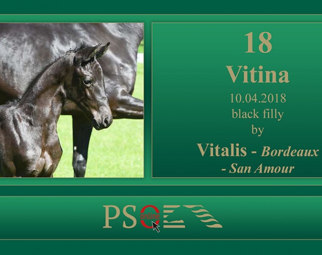 Vitina (by Vitalis x Bordeaux x San Amour)