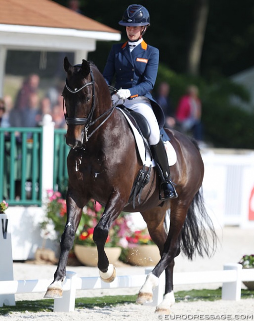 Katja Gevers and Thriller at the 2018 CDIO Compiègne :: Photo © Astrid Appels